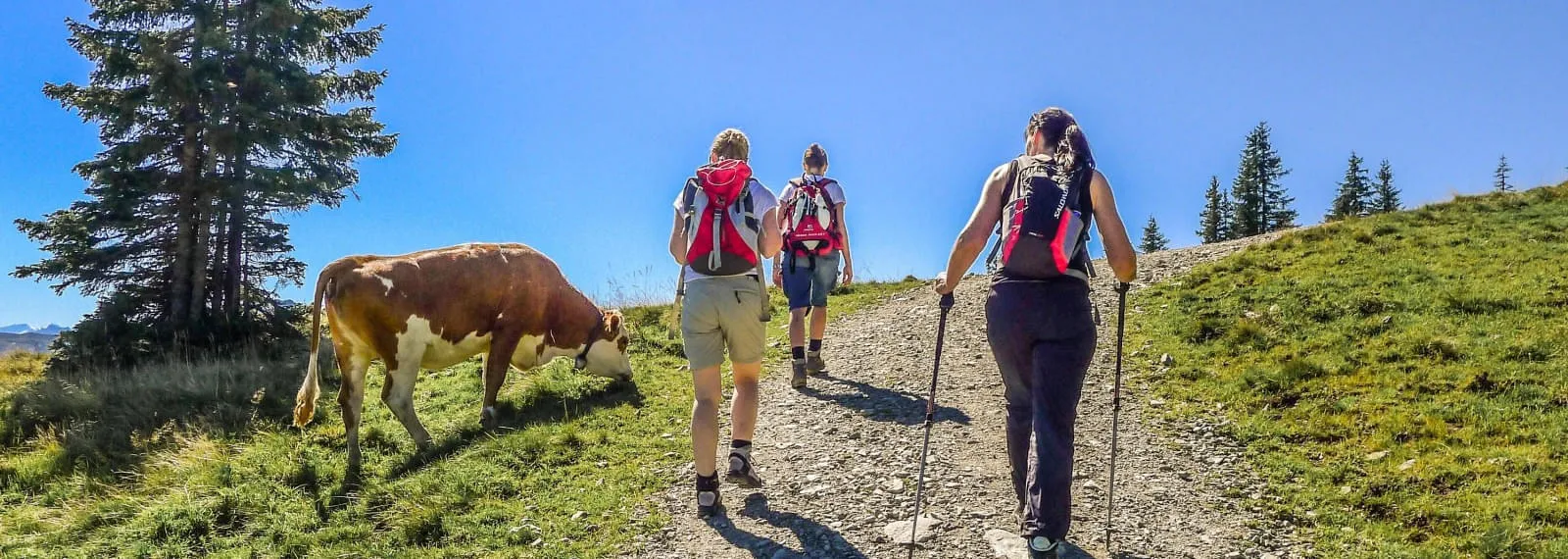 Wanderung zur Wiegalm